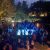 Lysende Dansegulv 6x6 m